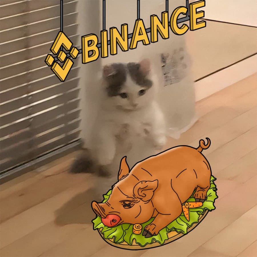 binance exchanges roastpig