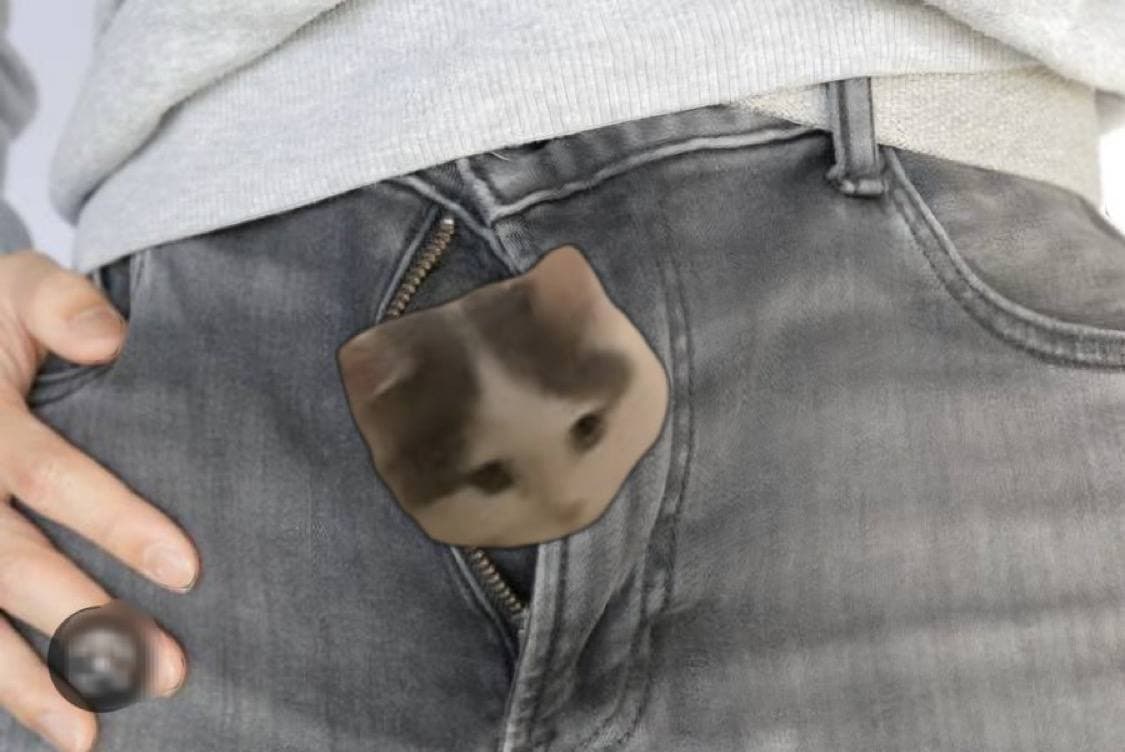 zipper pants dick funny penis