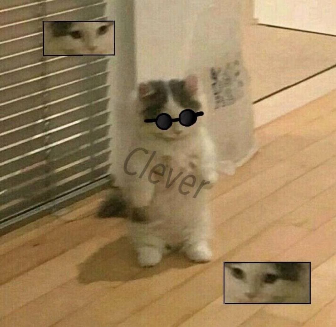 clever eyes look sunglasses cool chill vibe mood