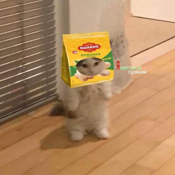 russianchips