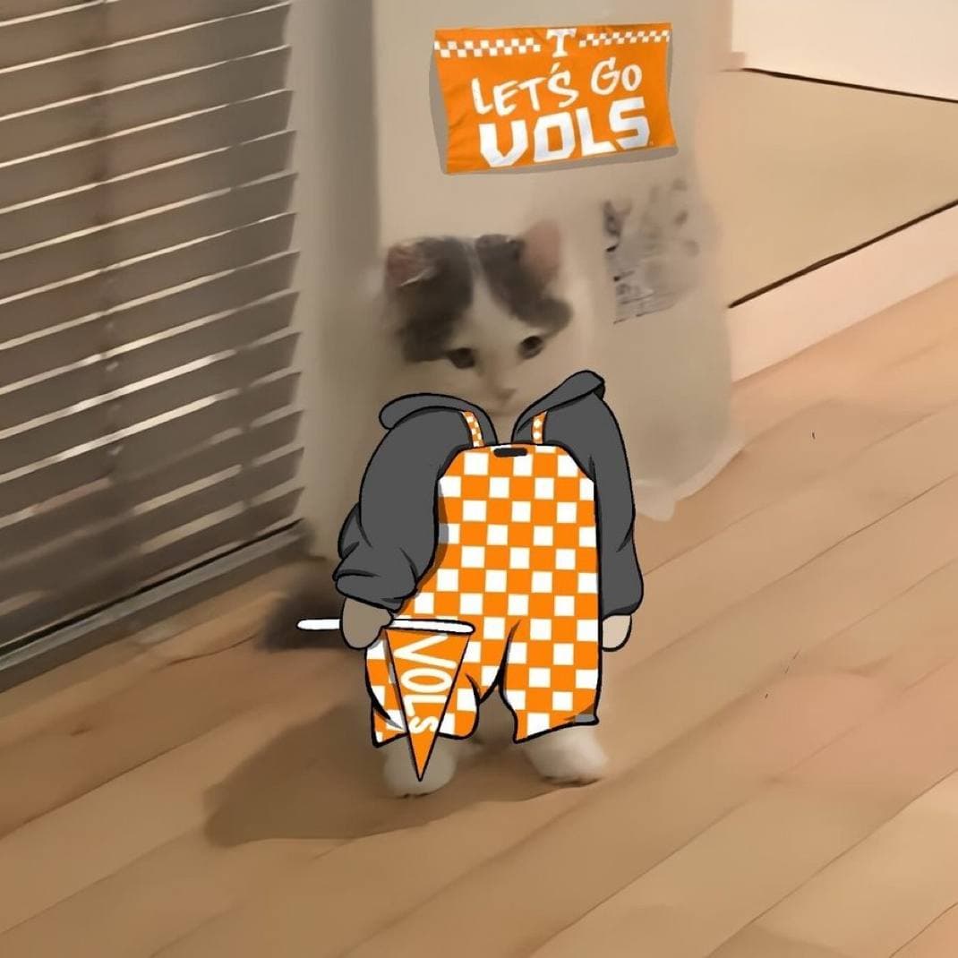 tennessee vols college