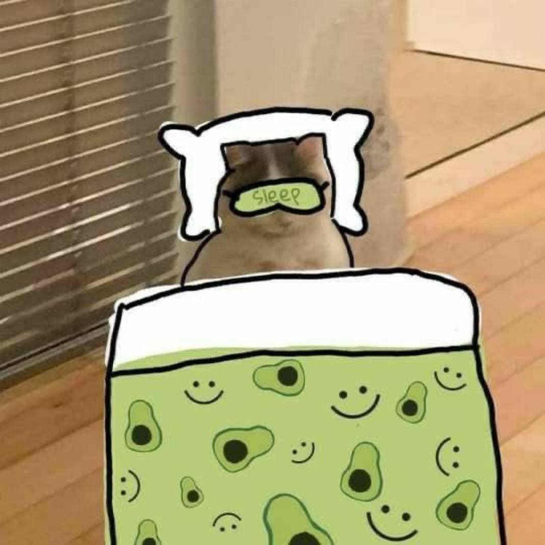 sleep bed gnichi tired