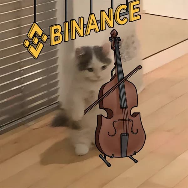 binance exchanges cello violin