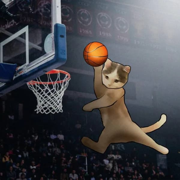 michaeljordan airness nba basketball dunk fly jump sports
