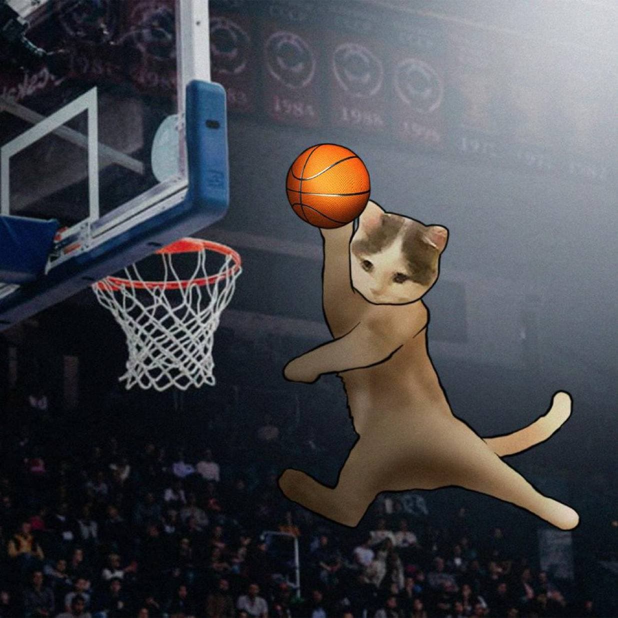 michaeljordan airness nba basketball dunk fly jump sports