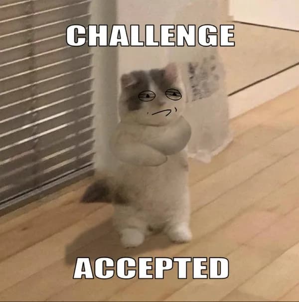 challengeaccepted funny smug retarded