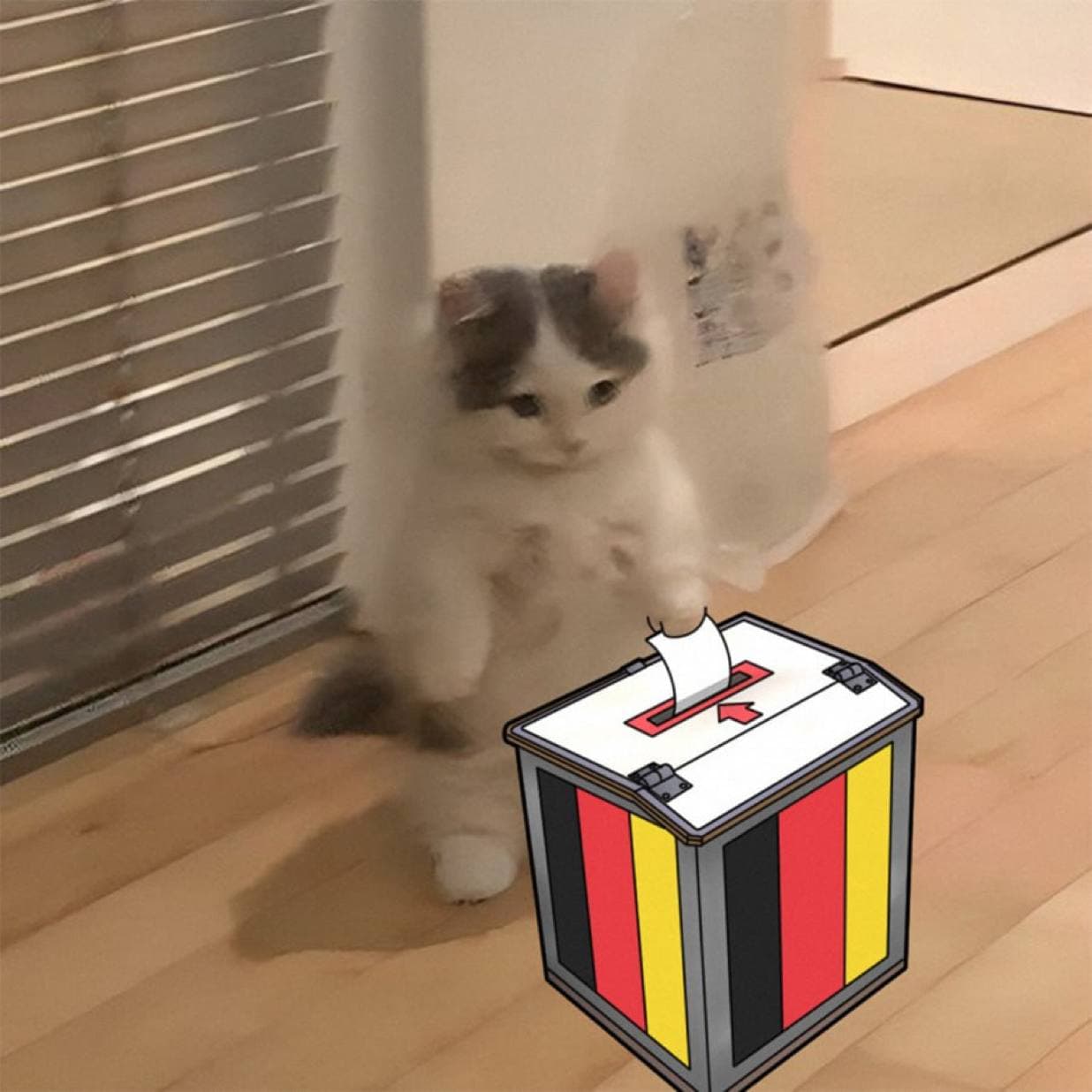 vote germany elections