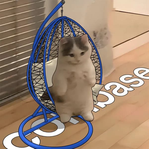 coinbase exchanges hammock