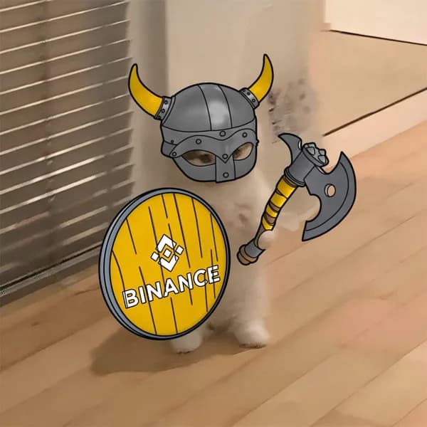 binance exchanges warrior shield axe
