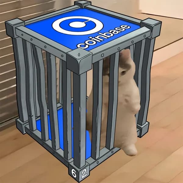 coinbase exchanges cage jail
