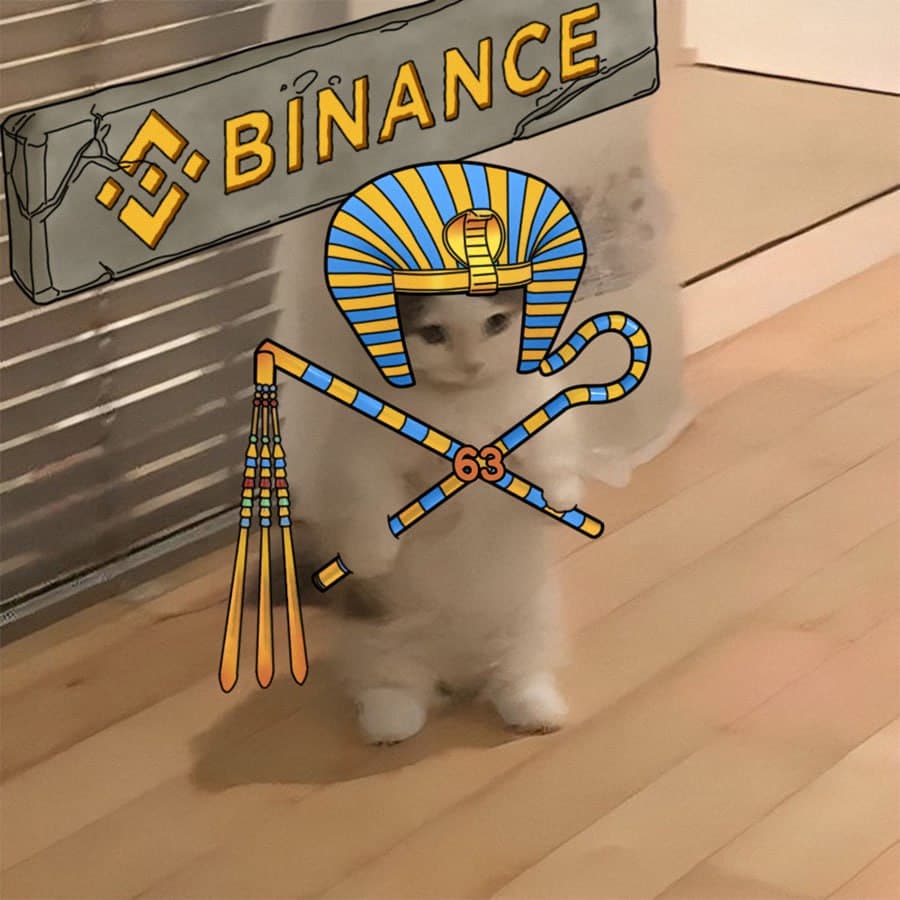 binance exchanges egypt pharoh