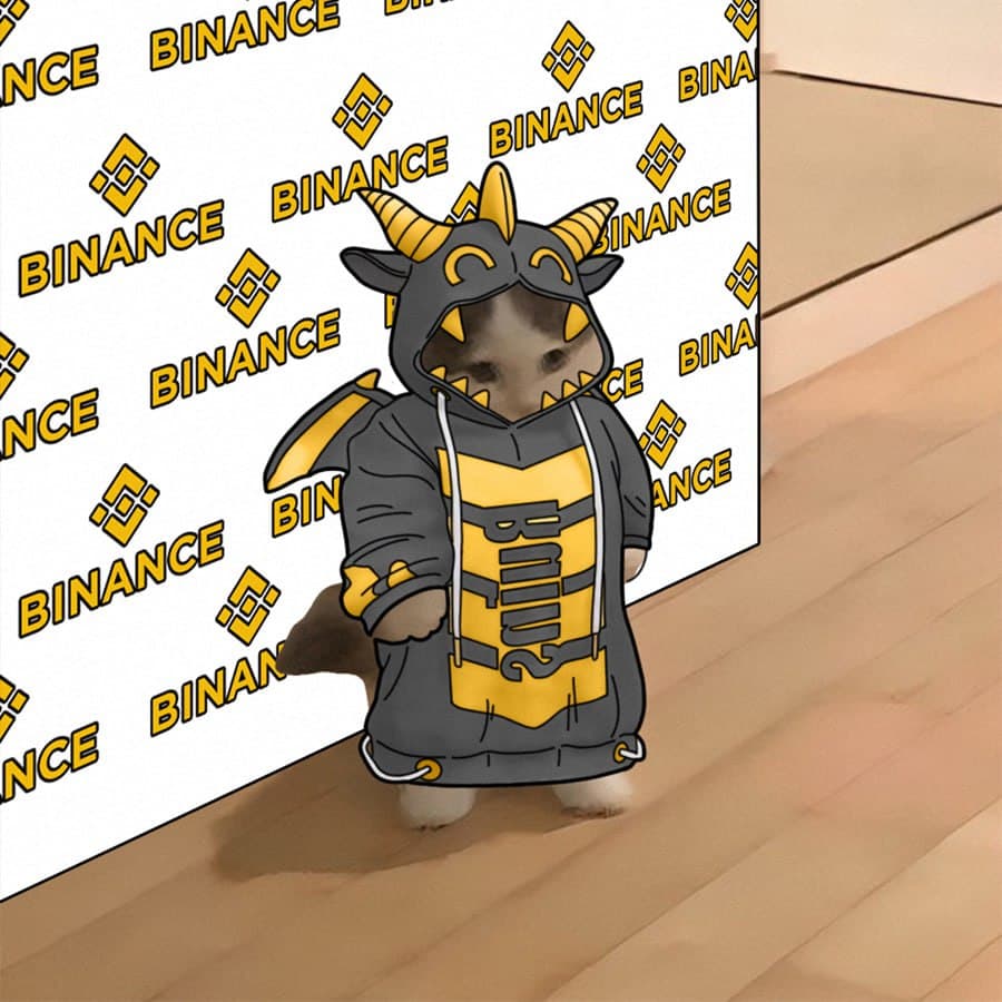 onsie costume dino binance exchanges