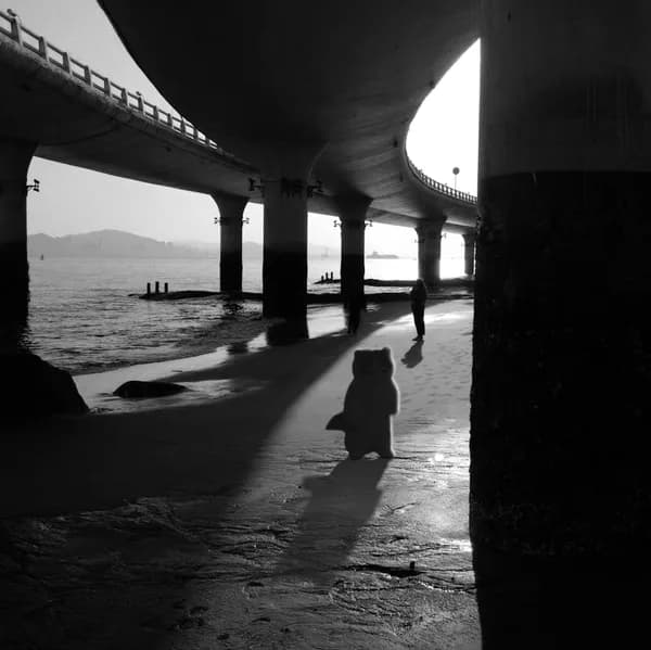 beach bridge