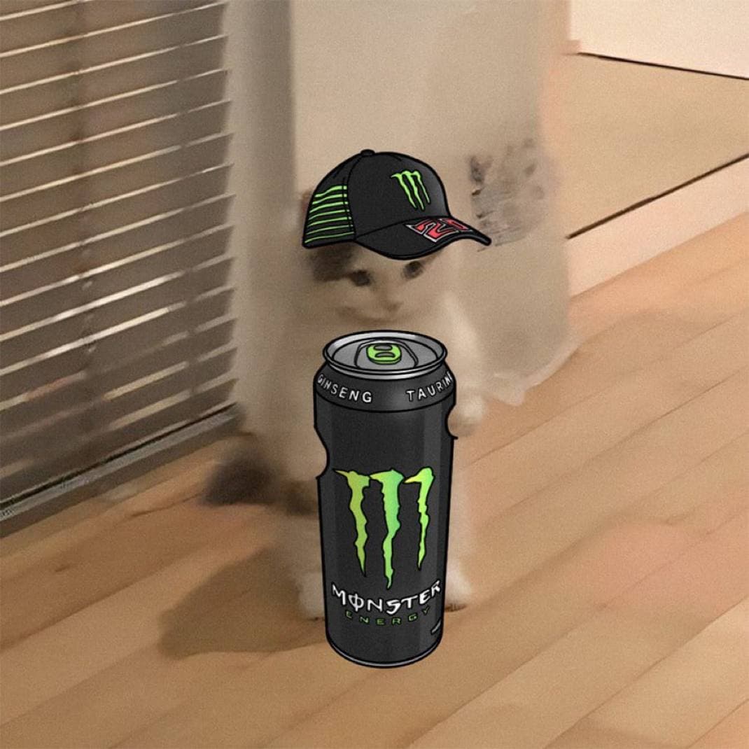 monsterenergydrink