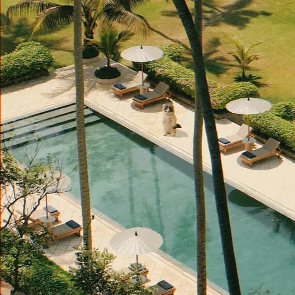 pool outdoors