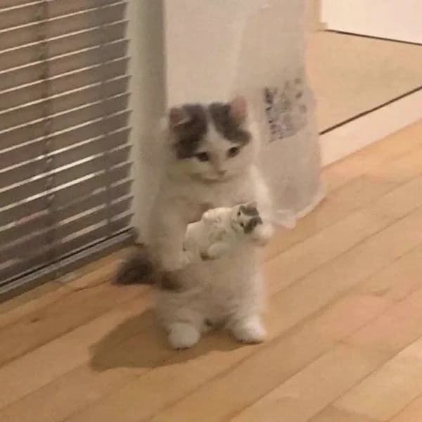 hold hodl small