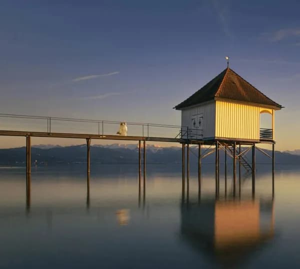 pier outdoors ocean