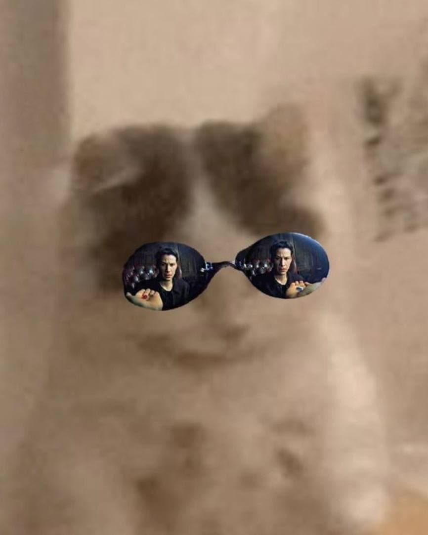 neo matrix sunglasses