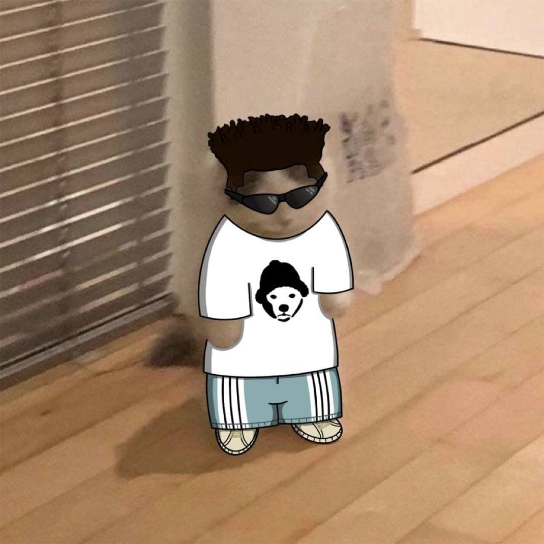 ansem wif kol influencer