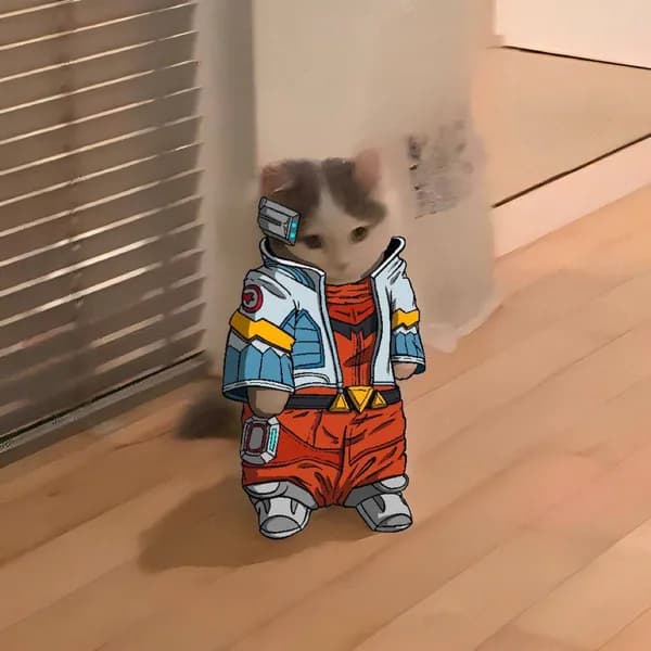 falco supersmashbros game