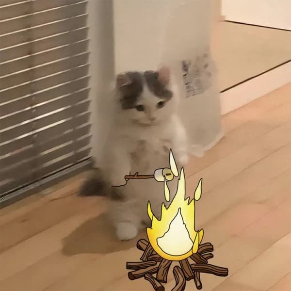 bonfire marshmellow