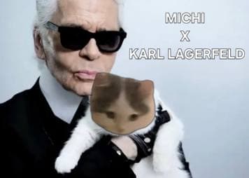 karllagerfeld sunglasses