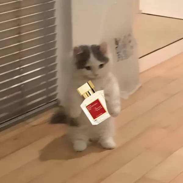 baccarat perfume cologne