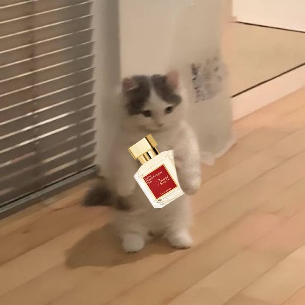 baccarat perfume cologne