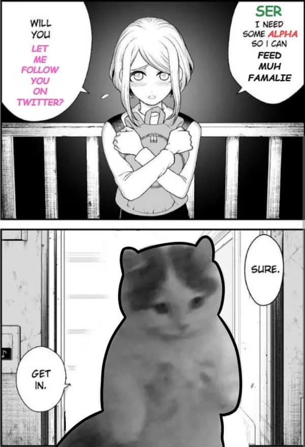 twitter meme