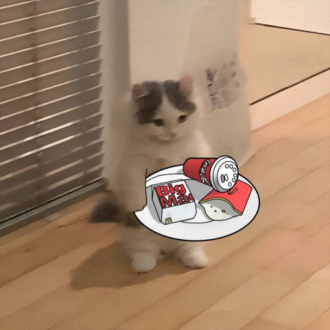 mcdonalds mcd bigmac