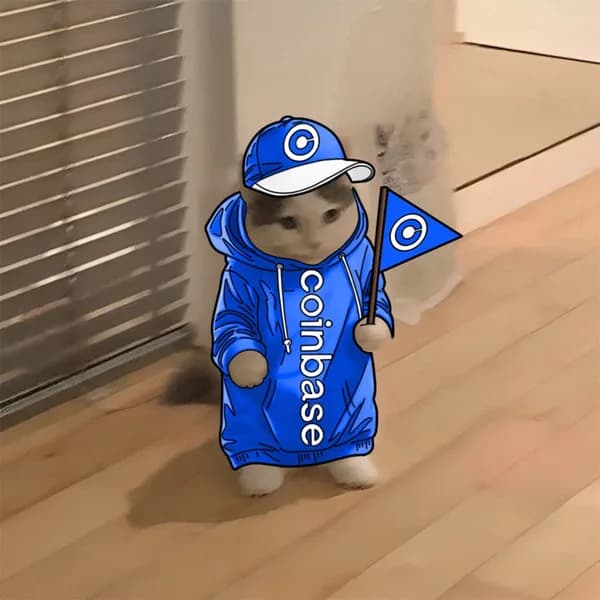 coinbase exchanges hat drip flag