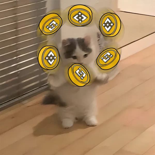 binance exchanges coin