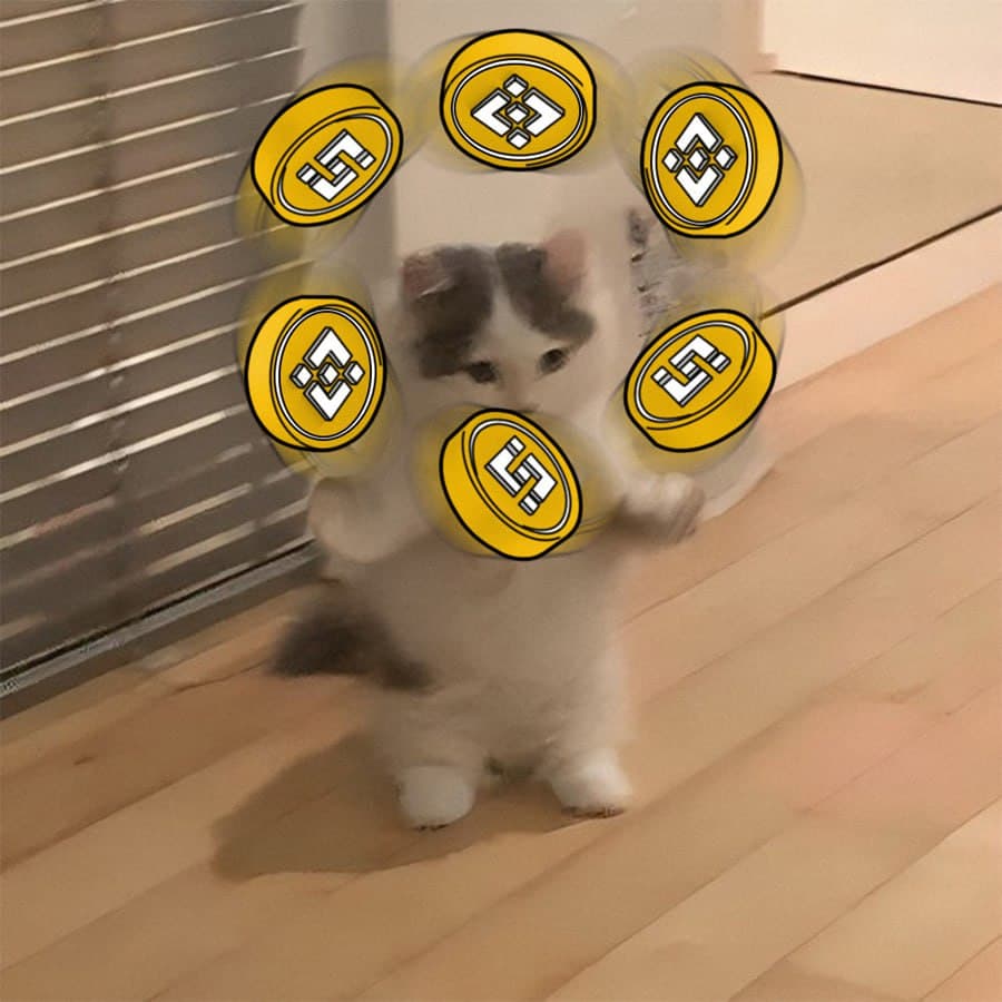 binance exchanges coin