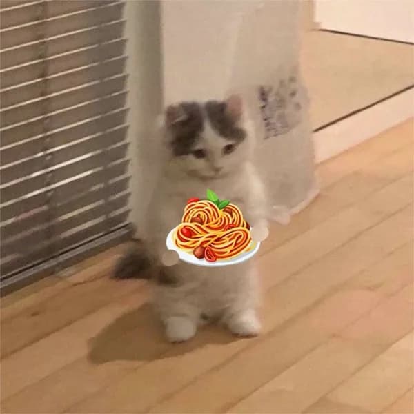 spaghetti food noodles plate cute