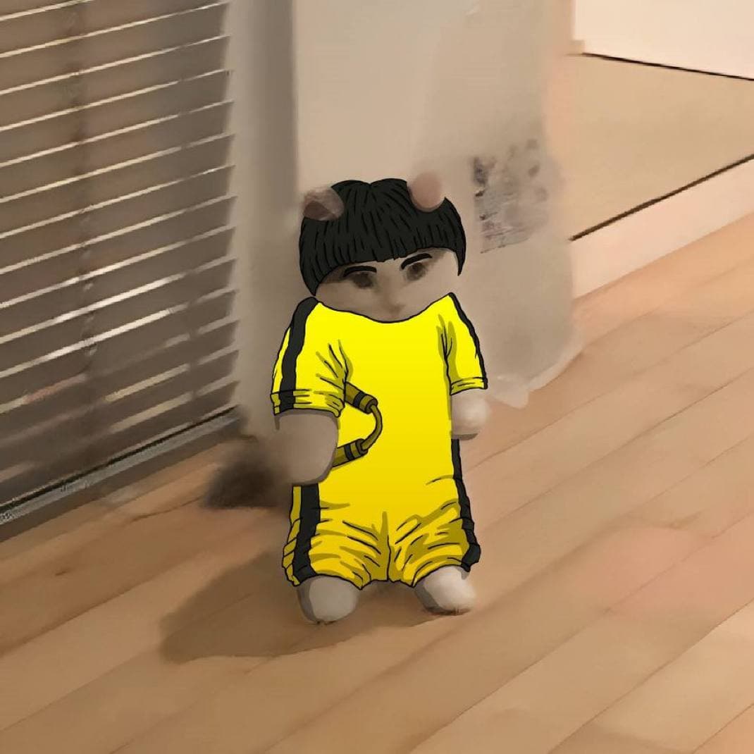 brucelee kungfu karate nunchaku