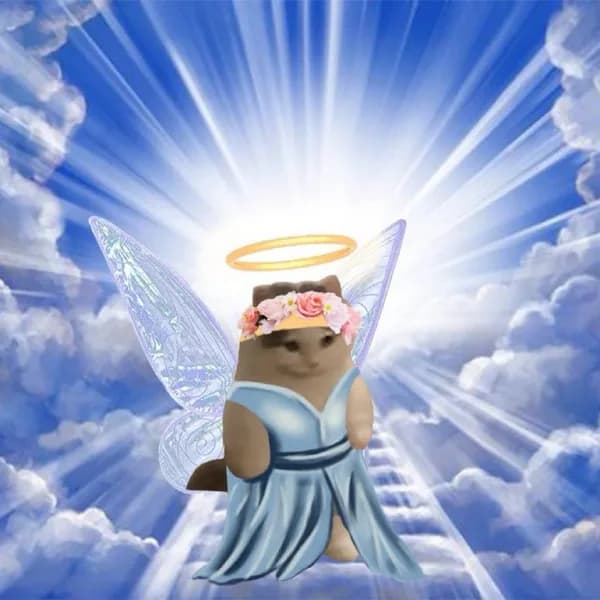 angel heaven cute wings