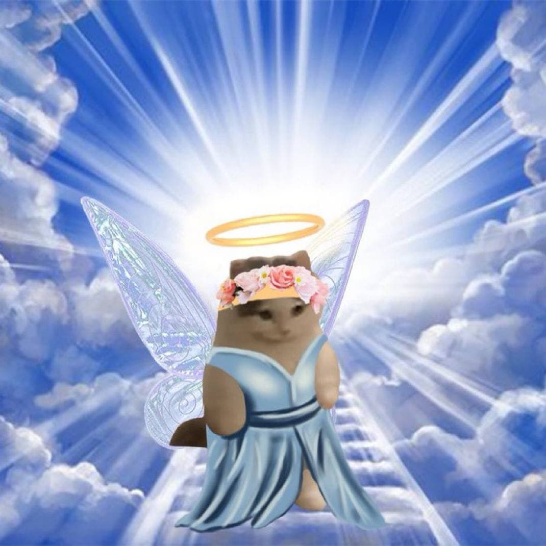 angel heaven cute wings