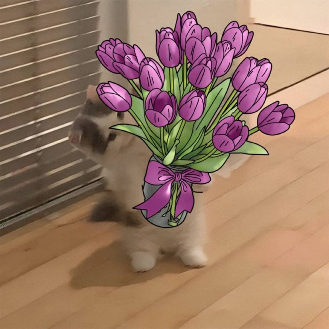 flowers love cute woman heart