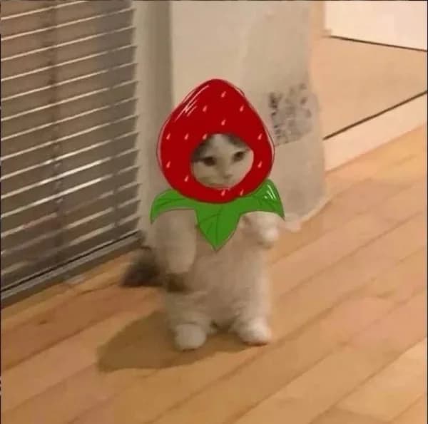strawberry fruit cute