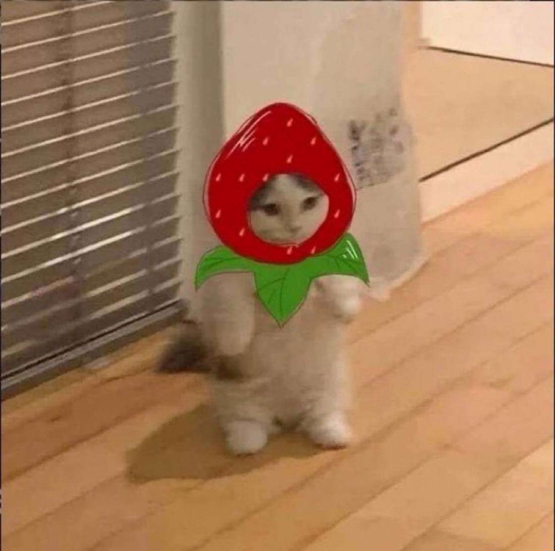 strawberry fruit cute