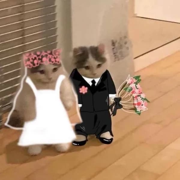 married marry couple love heart flowers