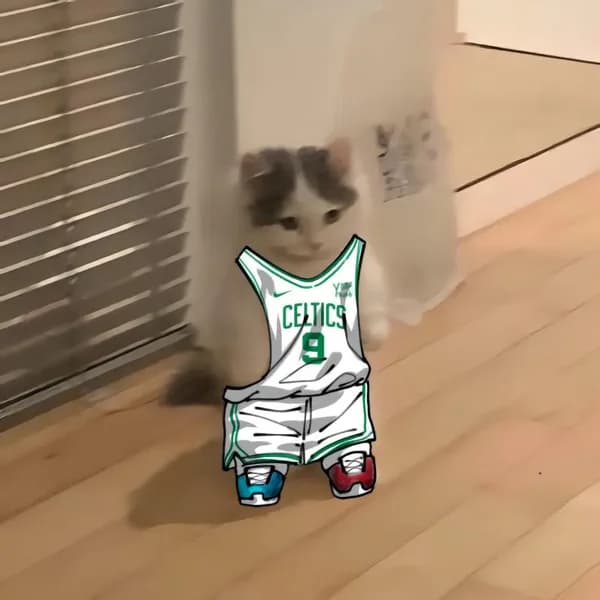 nba basketball atlantic bostonceltics 