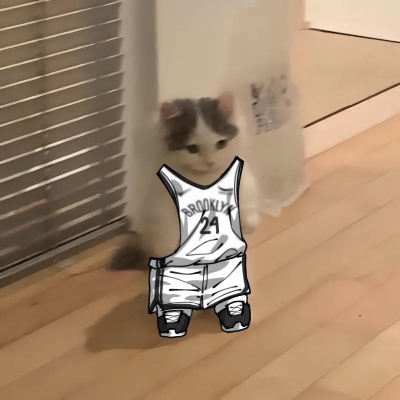 nba basketball atlantic brooklynnets