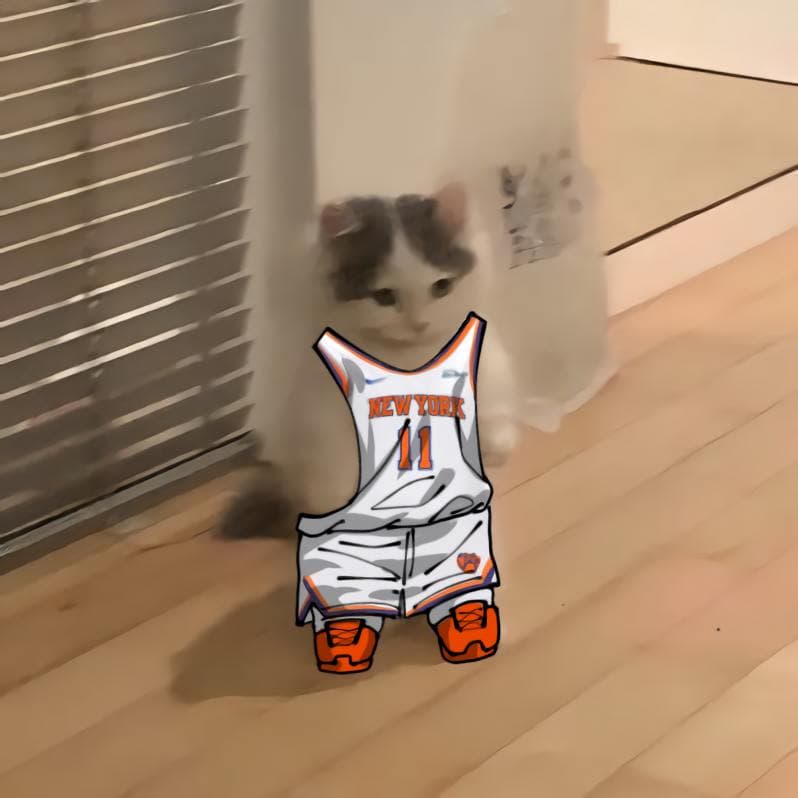 nba basketball atlantic newyorkknicks