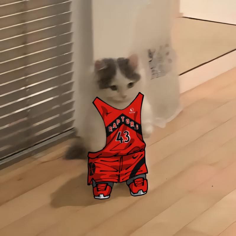 nba basketball atlantic torontoraptors