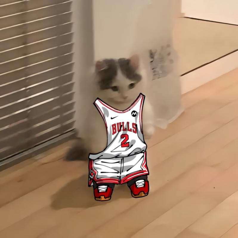 nba basketball central chicagobulls