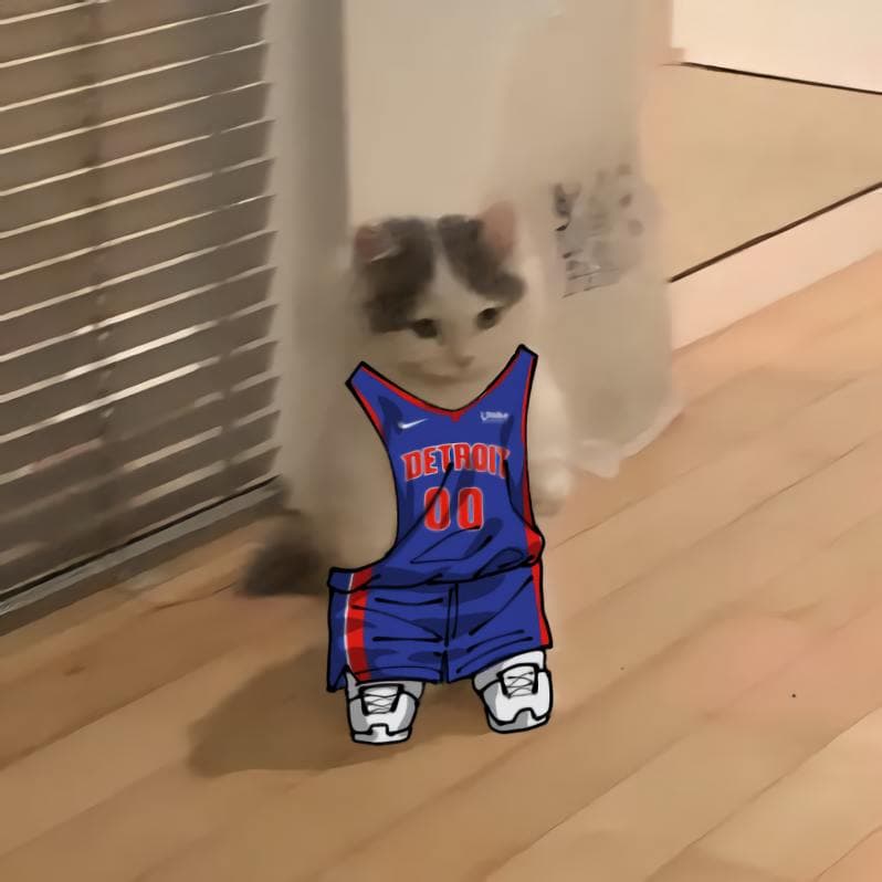 nba basketball central detroitpistons