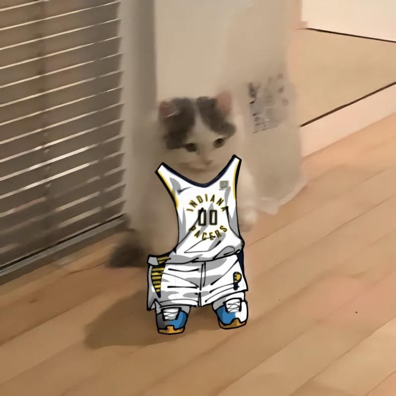 nba basketball central indianapacers