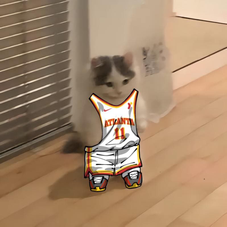 nba basketball southeast atlantahawks