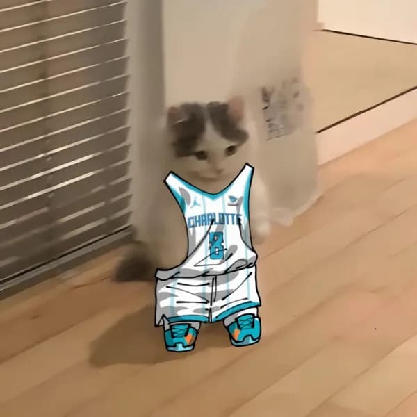 nba basketball southeast charlottehornets
